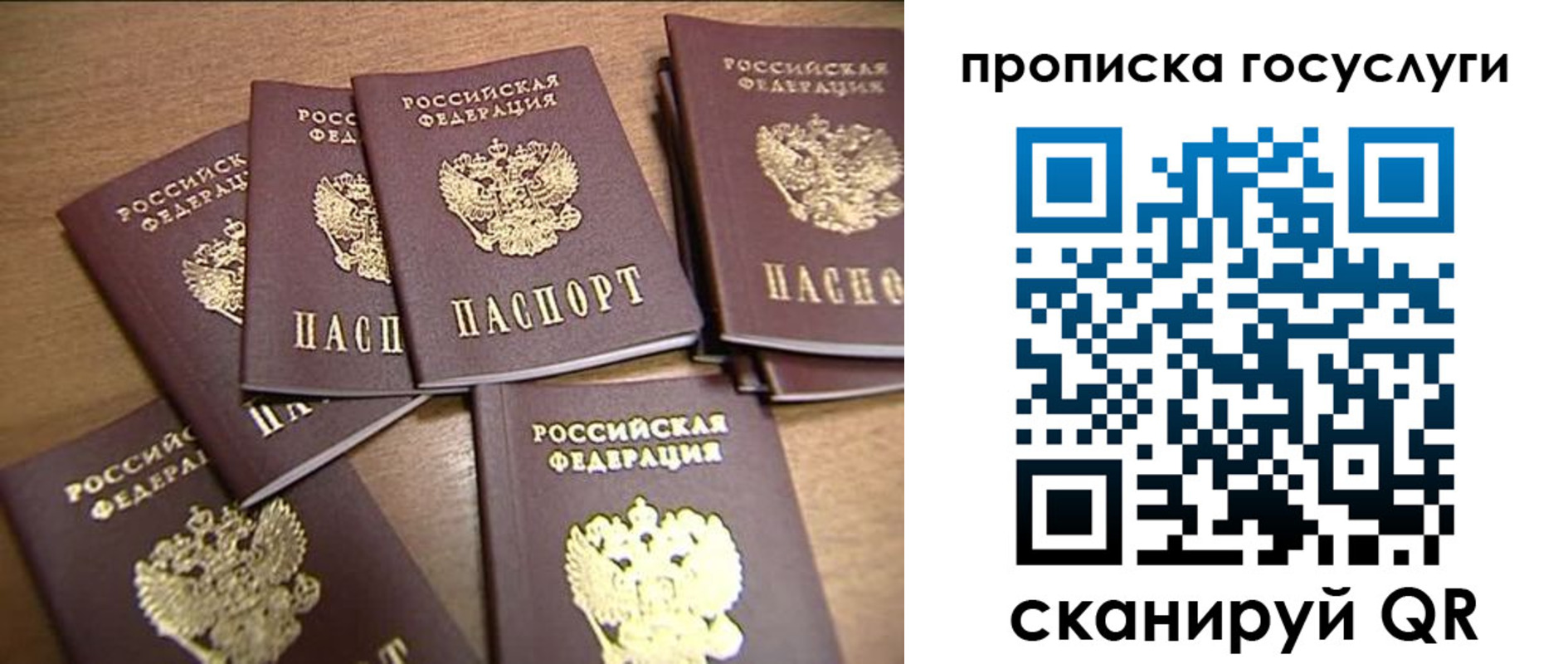 прописка ребенка в Шебекино